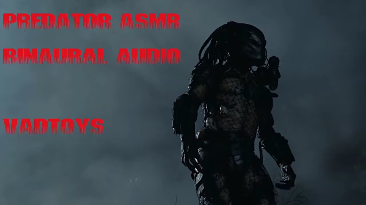 Predator │Prey Clicks (Jungle Nighttime) - Binaural ASMR Yautja Stereo Sound Effect Sleep Aid