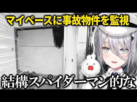 終始マイペースに事故物件を監視するソフィア・ヴァレンタイン【ソフィア・ヴァレンタイン/にじさんじ/切り抜き/日本事故物件監視協会3/JSP3 】
