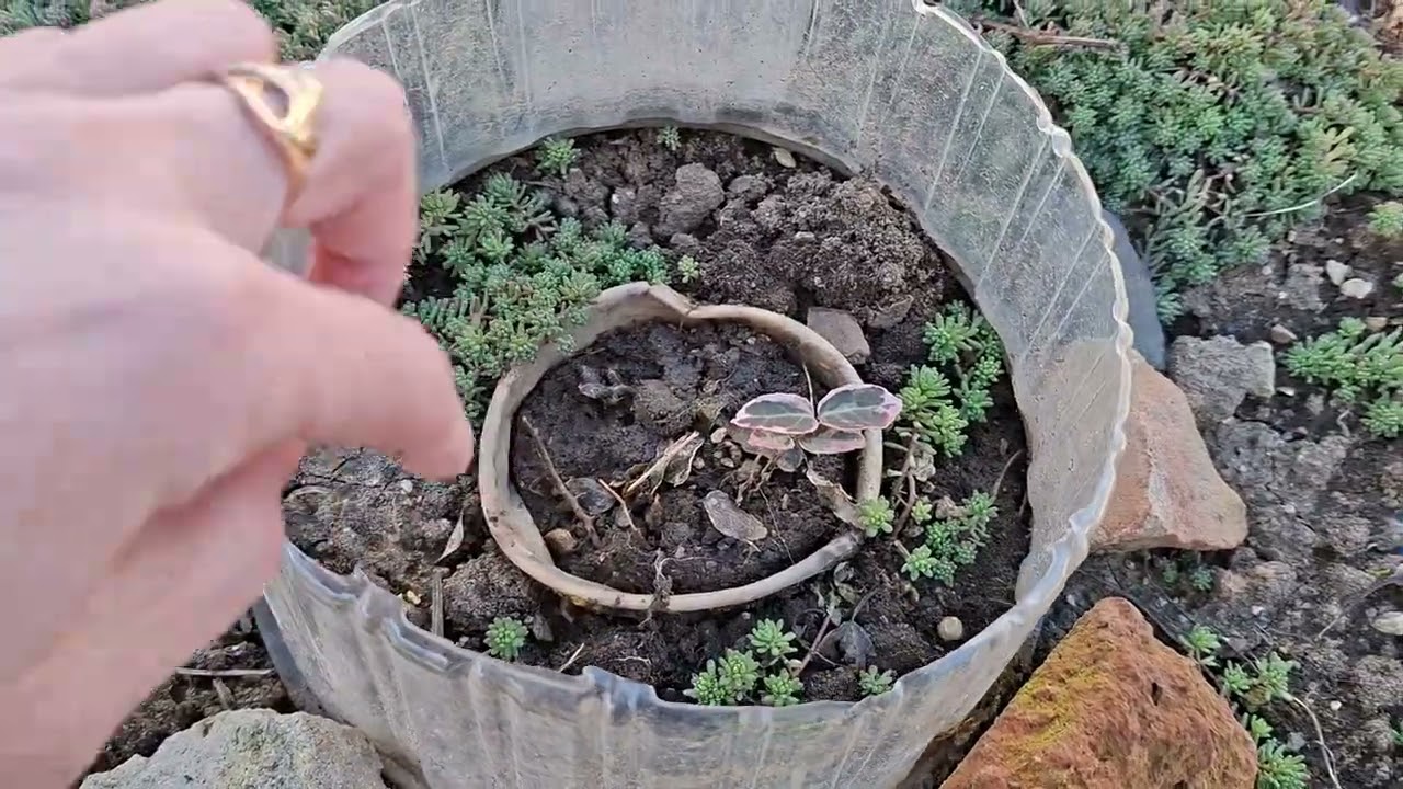 Обзор 1 марта 2026год, часть N1