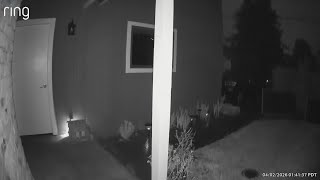 4.9 earthquake in Santa Cruz Mountains caught on porch camera