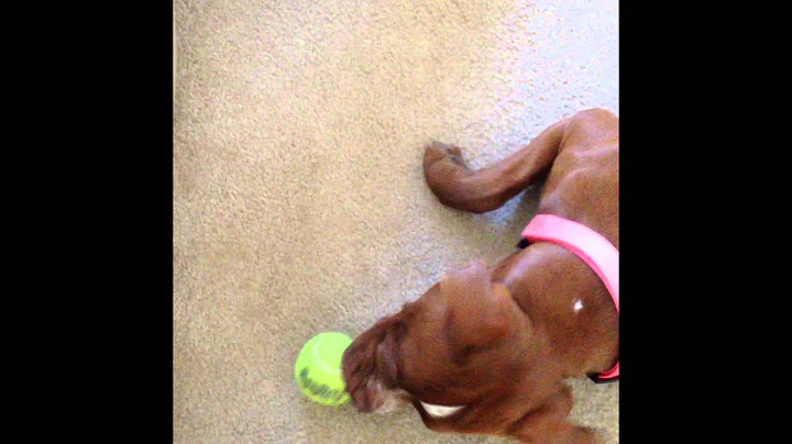 Caramel
