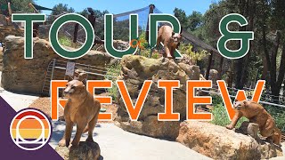 Visiting The Oc Zoo At Irvine Regional Park Tour & Review 2022