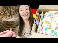 German Taste Test and Surprise Gift and German cat treats