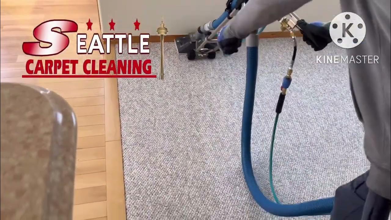 Carpet cleaning seattle 2063358167 YouTube