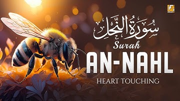 Surah An Nahl - سورة النحل | This VOICE will TOUCH Your Heart إن شاء الله | Zikrullah TV
