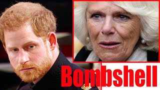 Bombshell: Prince Harry's book will shudder royals to core with true feelings about Camilla