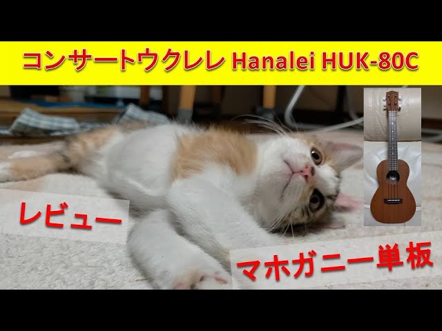コンサートウクレレ Hanalei HUK 80C レビュー - YouTube
