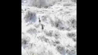 Kar Yağmış Yollara