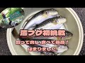 東京湾富津沖 ショウサイフグ釣り カットウ仕掛けでフグ釣りに初挑戦 絶品！