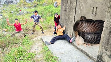 Brave Expert Rescues Girl From 100 Ferocious Dragon Snakes
