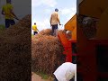 My work #berozgarbadshah #youtubeshorts #farming