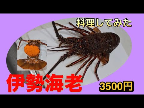 市場で初めて買った伊勢海老