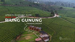 Healing Murah di Kebun Teh Malabar Pangalengan, Udara Sejuk Banget