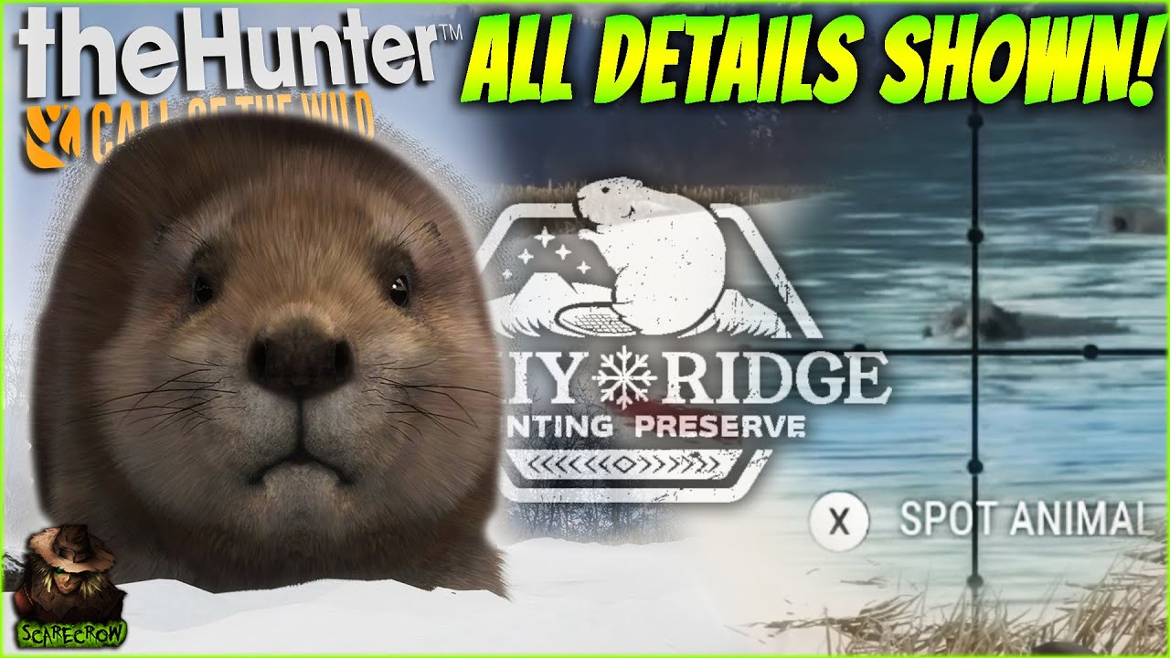 A Detailed Look At The BRAND NEW Beavers On Askiy Ridge! Call of the ...