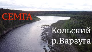 Рыбалка на Кольском полуострове! Ловля СЕМГИ на реке ВАРЗУГА!