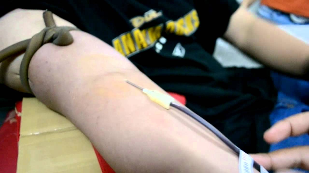 phlebotomist and donor? 0___o YouTube