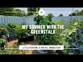My Summer with the GreenStalk | Black Friday Sale