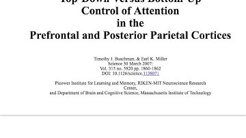 Top Down and Bottom Up Attention