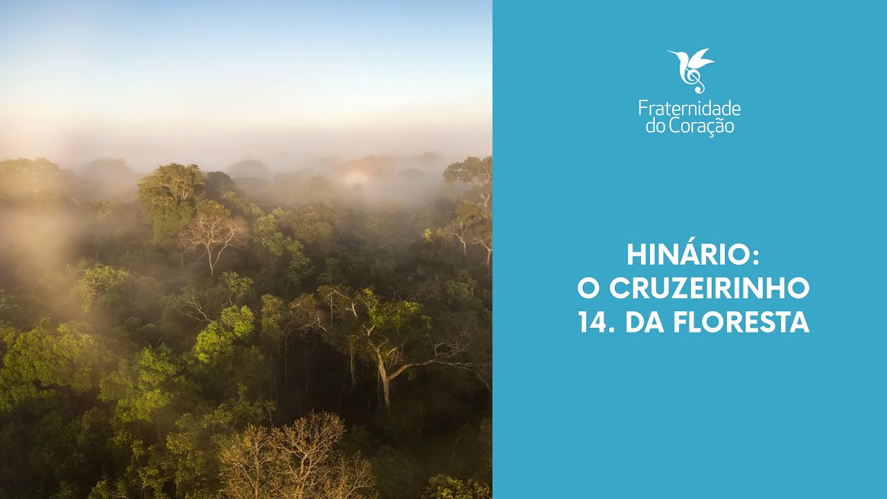 Fraternidade do Coração I 17 anos - O Cruzeirinho (Pad. Alfredo): 14. Da Floresta