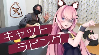 巡音ルカと『キャットラビング』を弾き語り