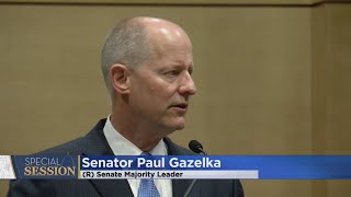 Special Session: No Big Votes Expected Until Next Week