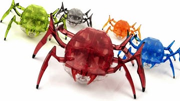HEXBUG Scarab