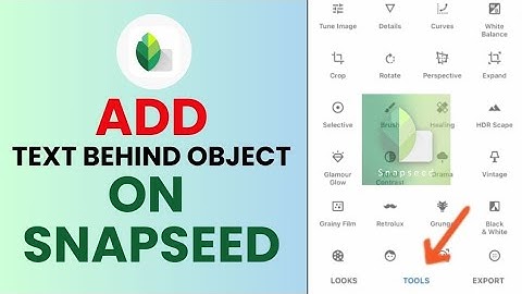 How to Add Text Behind Object in Snapseed 2024?