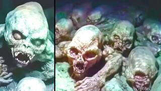 Celebrity 10 Most Disturbing Discoveries Of The Decade Profile