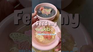 💙Pets Area Meal💙 #cat #catasmr #catfood #feedmycat #cattreats #고양이 #asmr #catshorts #catvideos