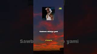 Dababy Sdanles Maskandi Song Wenhliziyo Yami By Zwide rate It