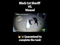 Black Cat Sheriff ：“Guaranteed to complete the task!” #camera #weasel #animals