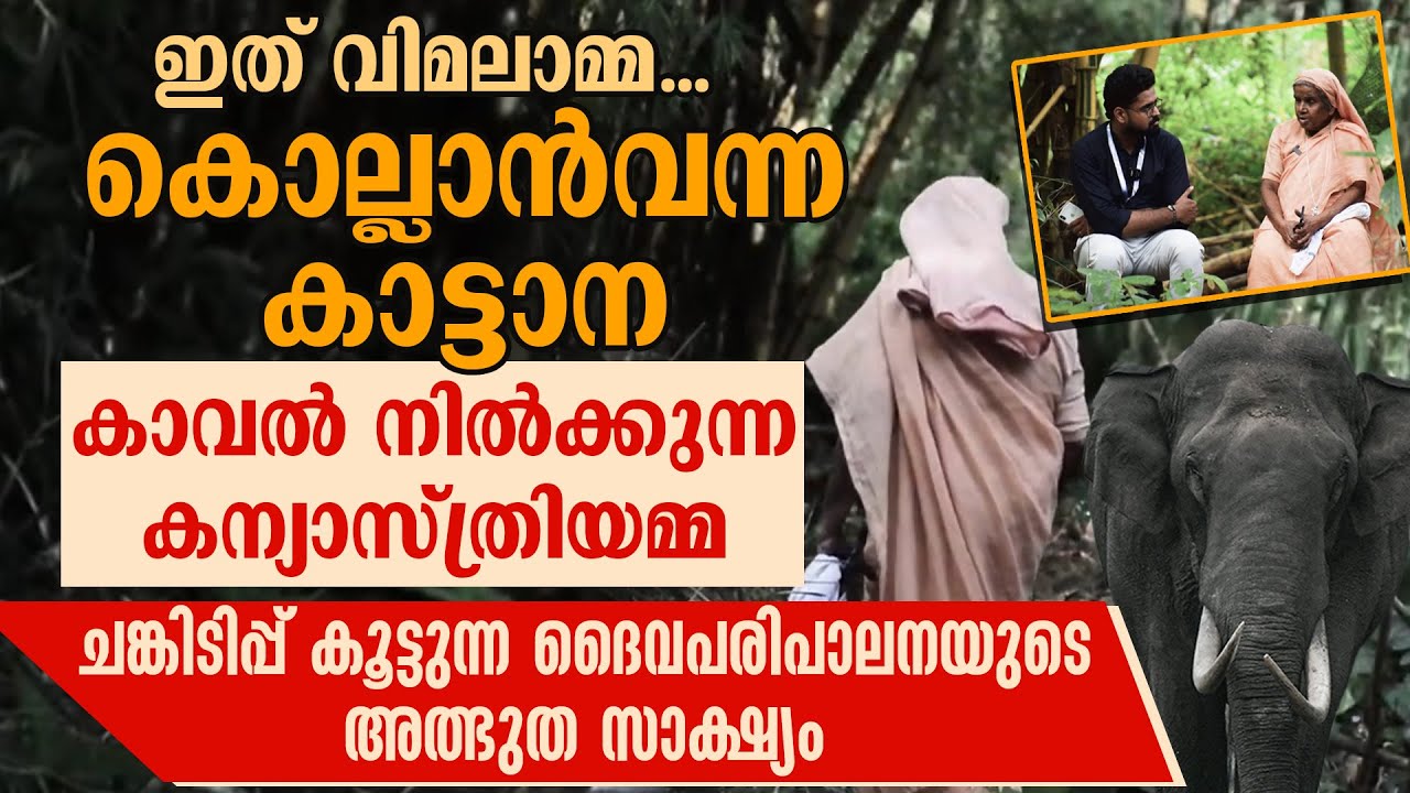 കൊല്ലാന്‍ വന്ന കാട്ടാന കാവല്‍ നില്‍ക്കുന്ന കന്യാസ്ത്രിയമ്മ.  ദൈവപരിപാലനയുടെ അത്ഭുത സാക്ഷ്യം
