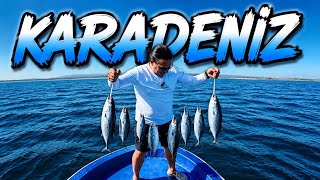 197 PALAMUTU 3 SAATTE YAKALADIK! 🎣 | Karadeniz Palamut Avı