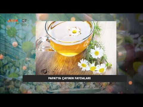 Video: Papatya çayı Neden Faydalıdır?