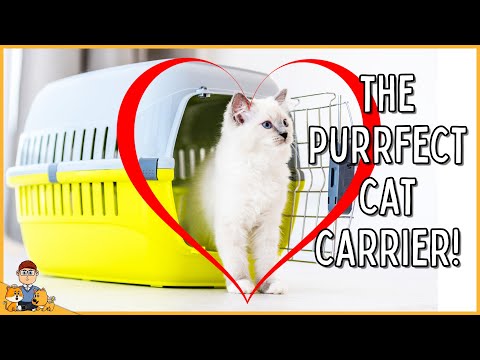 How to choose the perfect cat carrier (and get your cat to LOVE it)
