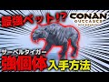 最強ペット!?サーベルタイガー(スミロドン)幼体の入手場所!!強個体出るまで終われまてん!!【PS4 コナンアウトキャスト / コナンエグザイル / conan exiles】