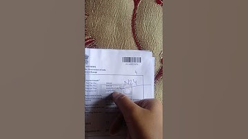 passport document verification