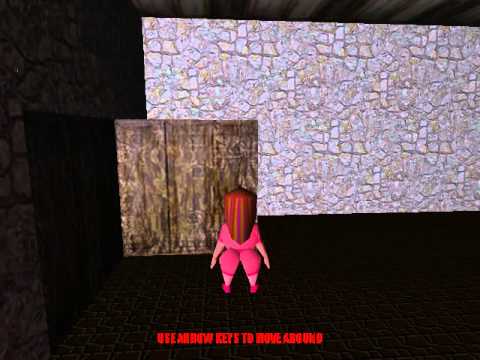 RoomDemo 2011-05-13 17-31-46-10.avi