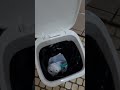 設備 内装 🚽 🚺 water closet サニタ 環境音 ASMR asmr Japanese toilet 2024年5月6日