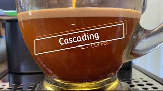 Download Lagu Review Tchibo Fully Automatic Coffee \u0026 Espresso Machine with Two Whole Bean Coffee, 17.6 Ounce Bags MP3