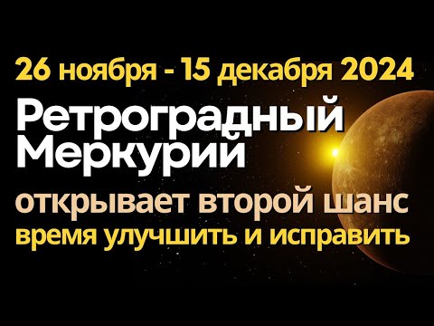 26 ноября -15