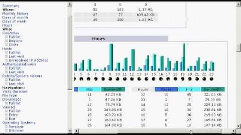 Learn Internet Marketing - Check website stats with Awstats
