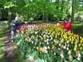 Keukenhof - Parque de Tulipanes - Holanda - 2012