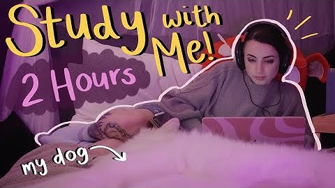 Study & Work with Me (Thunderstorm, Dog Buddy, Timer Included!) Pomodoro