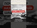 Почему Умар назвал лошадь шайтаном? || Ринат абу Ибрахим #ислам #коран #вера #намаз #сунна #пост