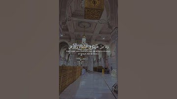 وَإِنَّ رَبَّكَ لَيَعْلَمُ مَا تُكِنُّ صُدُورُهُمْ وَمَا يُعْلِنُونَ (74) | سورة النمل