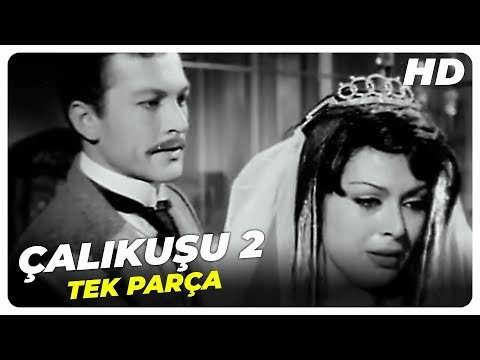 Çalıkuşu - Türk Filmi