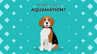 Unveiling the Ethical & Eco-Friendly Alternative: What is Pet Aquamation?