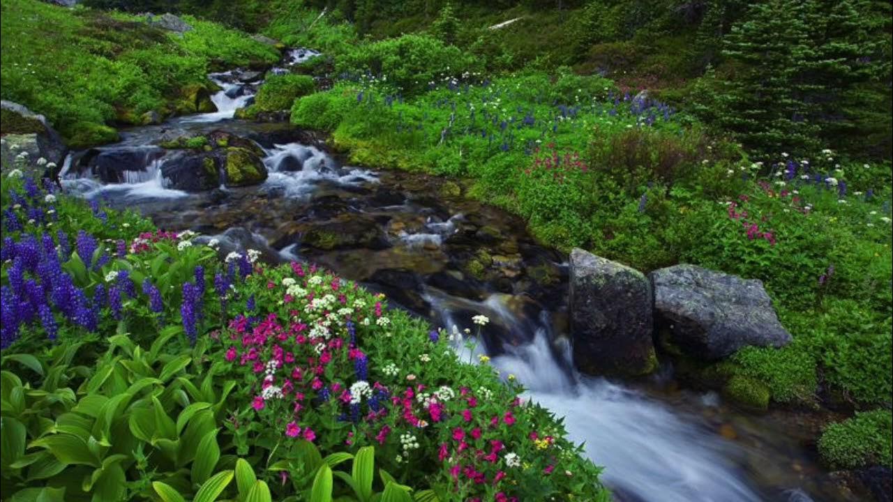 В саду весеннем у ручья. Парк с прудом. Весенний ручеек. Пруд лилии живерни. Ручей в саду.