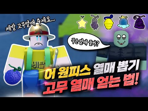 어 원피스 열매뽑기! #3 제발 고무고무 열매를 주세요;; [로블록스]